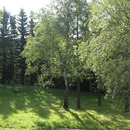Luft