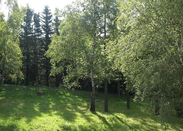 Luft